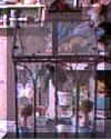 greenhouse1.jpg (47677 bytes)